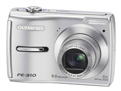 ���ְ�˹FE-310