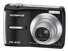 ���ְ�˹FE-310