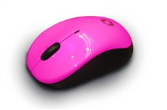 �����͸�С�󱾣����鷽��S301�ʼǱ�