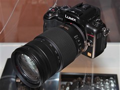 松下LUMIX G VARIO 100-300mm F4-5.6 MEGA O.I.S.镜头 