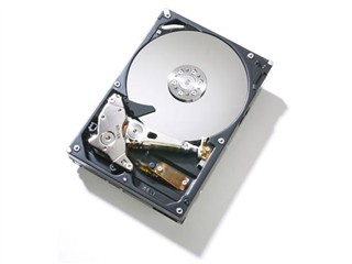 ���� 750G/7200ת/16M/����(Deskstar 7K1000)ͼƬ