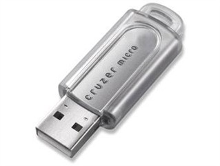 SanDisk Cruzer Micro Skin(2GB)ͼƬ