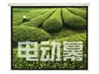 ��Ҷ �綯Ļ(200Ӣ��)ͼƬ