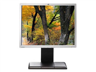 HP LP2065ͼƬ