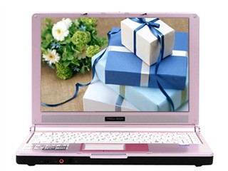 ΢�� MEGABOOK S262X-PT2052CB0ͼƬ