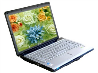 ��֥ Satellite M215(�����)ͼƬ