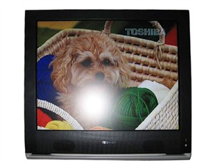 ��֥ 20V300CͼƬ