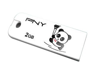 PNY ������è��װ��(2GB)ͼƬ