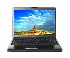 ��֥ Satellite M306ͼƬ