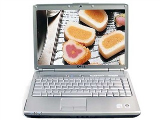 ���� INSPIRON 1420(R510703)ͼƬ