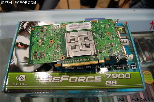 ���������10���7900GS�Կ�ȫ����