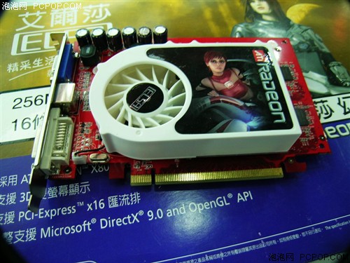 16����&nbsp;˫256��񣡰���ɯX80XL��599