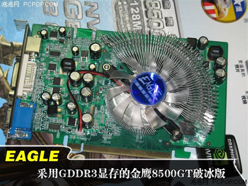 敲破DX10价格坚冰!金鹰8500GT开卖599