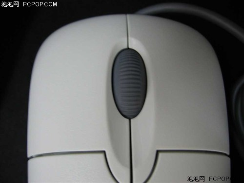 ��������Գ�ֵ&nbsp;8����ƴ������󵼹�