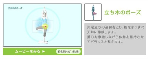 美女,疯狂,视频,淋漓,DIY,WiiFit