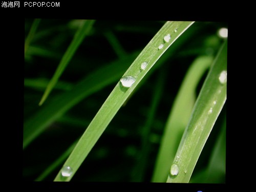 优雅,设计,强悍,性能,LG,