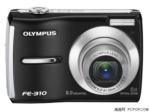 ���ְ�˹FE-310