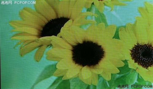 ��Ʒ����&nbsp;RMVBֱ�Ӳ��ų�ΪS800����
