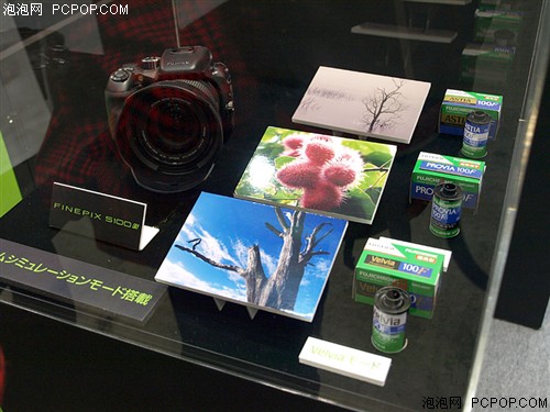 PIE2008富士展台 惊现意外新品大相机