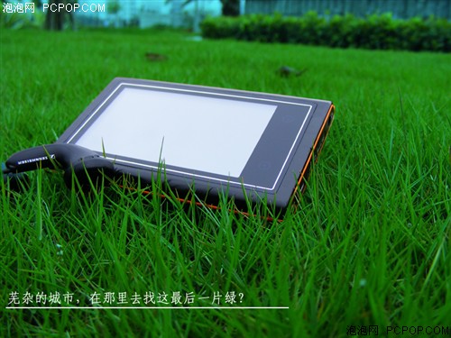 漫步草地 OPPO Smart S11清新美图赏
