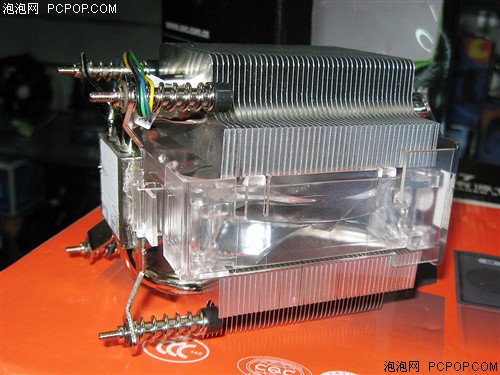 蓝光更炫目 AVC新款拿破仑透明版到货