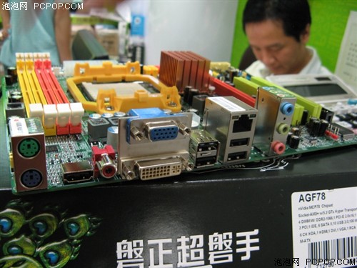 DX10整合新宠 磐正MCP78尝鲜价499元