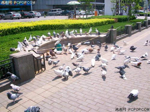 700万CCD+3倍光变 天语C700详细评测
