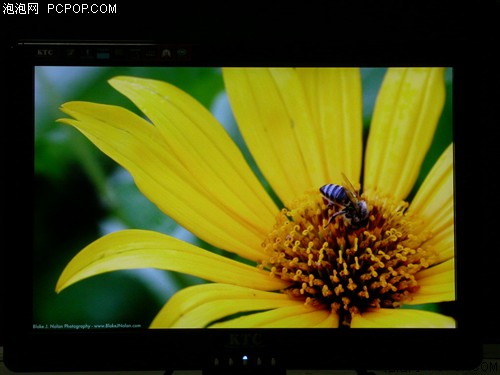 IPS��峬���ӽ�&nbsp;1699Ԫ��ƷҺ������