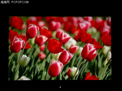 IPS��峬���ӽ�&nbsp;1699Ԫ��ƷҺ������
