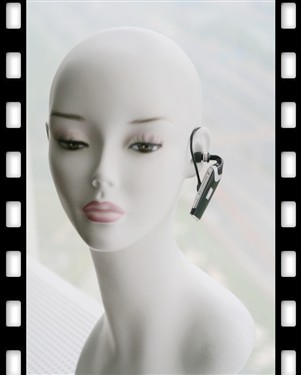����֮��ˮƿ&nbsp;ɭ������FLX70��������