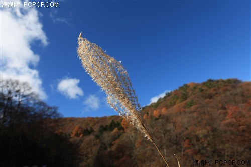 佳能5D Mark II套机(24-105mm)数码相机 