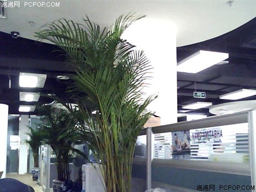 001254419.jpg