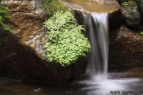 佳能EF-S 18-200mm f/3.5-5.6 IS镜头 