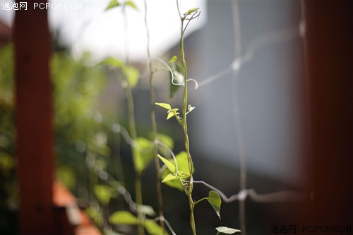 佳能(Canon)EF 50mm f/1.4 USM镜头 