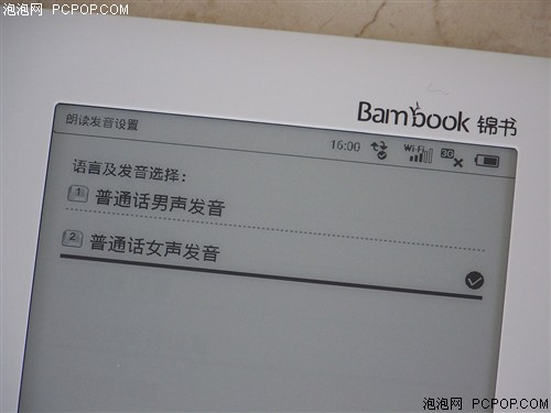 盛大(SNDA)Bambook电子书 