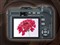 ���ְ�˹SP350��ƷͼƬ8