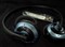 ɭ������PMX200��ƷͼƬ2