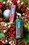 ����Joybee P205(256MB)��ƷͼƬ4