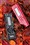 ����Joybee P205(256MB)��ƷͼƬ5