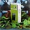 ����Joybee P330(256MB)��ƷͼƬ2