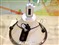 ����YP-F2XB(512MB)��ƷͼƬ1