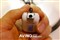 ����YP-F2XB(512MB)��ƷͼƬ5