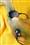 ����Joybee E105��ƷͼƬ4