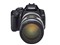 ����EOS 400D(��ͷ�׻�18-55)��ƷͼƬ7