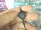������ATH-CK32��ƷͼƬ7
