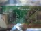 TP-LINK TF-3239DL��ƷͼƬ7