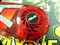 ��˶EAX1950XTX/HTVDP/512M��ƷͼƬ6
