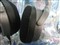 ������SHP2700��ƷͼƬ3