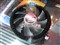 Tt��ʷ��� (CL-P0391)��ƷͼƬ3