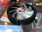 Tt��ʷ��� (CL-P0391)��ƷͼƬ5